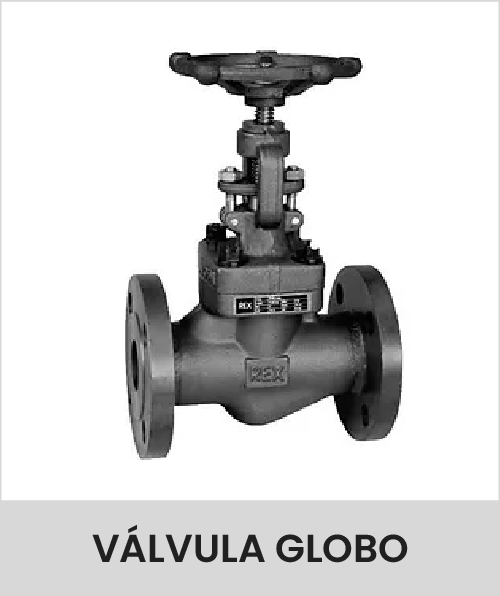 Descripción de la imagen